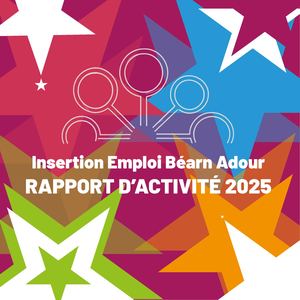 Rapport D’activité 2025 Sans Moral Sans Financier (1)