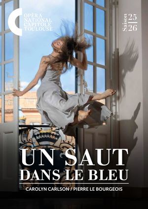 Programme - Un Saut dans le bleu