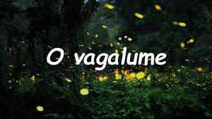 O Vagalume Pdf