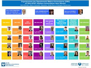 Organigramme Dmu Ghu Mondor Mai 2026
