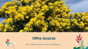 Kerisnel Pepi Acacia 2026