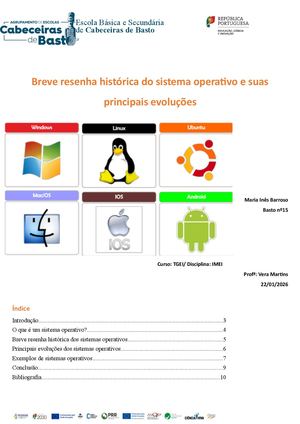 Imei M3 Inês Basto Trab1 (2) (1)