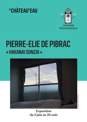 Dossier Pédagogique Pierre Elie De Pibrac