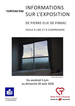 Doc Falc Pierre Elie De Pibrac