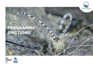 Programme d'actions 2026 du PNMBA