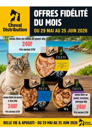catalogue 202606