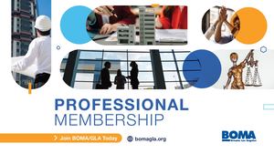Professional Member Brochure