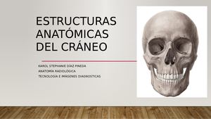 Estructuras Anatómicas Del Cráneo