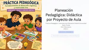 Planeacion Pedagogica Didactica Por Proyecto De Aula Pdf