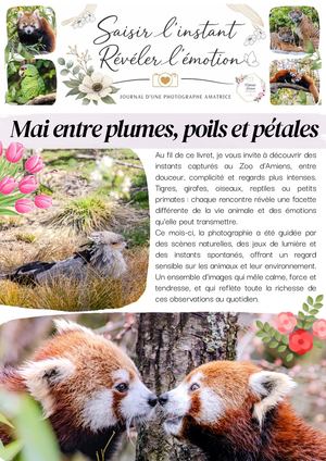 "Saisir l'instant, révéler l'émotion" - Mai entre plumes, poils et pétales
