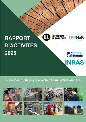 Rapport d'Activités LERMaB 2025