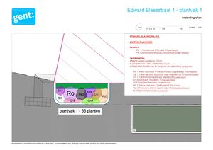 Beplantingsplan zuidelijk deel Edward Blaesstraat Gedetailleerde Beplantingsplannen
