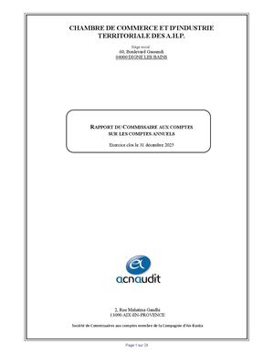 Rapport Commissaire Aux Comptes