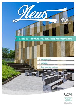 News #33