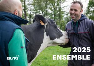 Ensemble 2025 Eilyps