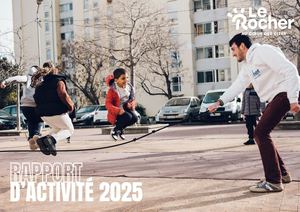 Rapport D'activite National 2025