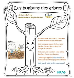 Livret Cm2 V6 1page1dia