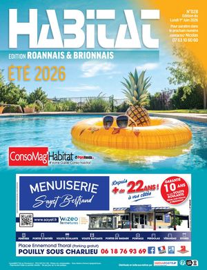 PARUVENDU.FR ROANNE N°28