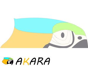 Bitacora Akara