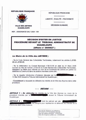 Décision D'ester En Justice - 154