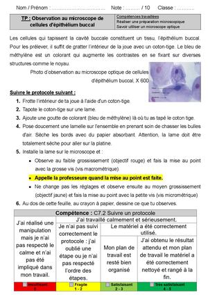 Tp Protocole Observation Cellules Buccales