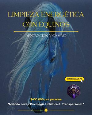 Terapias Asistidas con Caballos