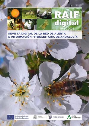 10 Revista Mayo2026 Vinculos