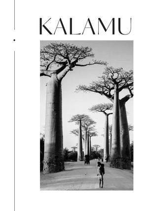 Revista Africa Oriental