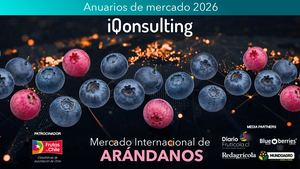 260519 Anuario Arandanos 2026 (1)
