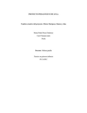 Proyecto Pedagogico De Aula