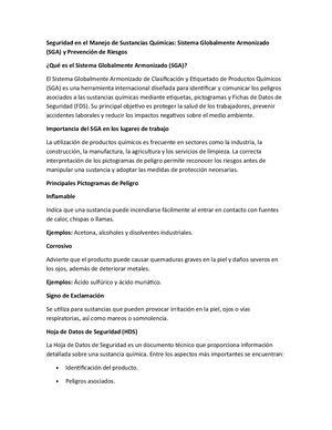 Seguridad En El Manejo De Sustancias Químicas