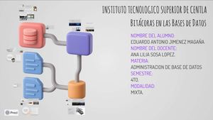 Bitacoras En Las Bases De Datos