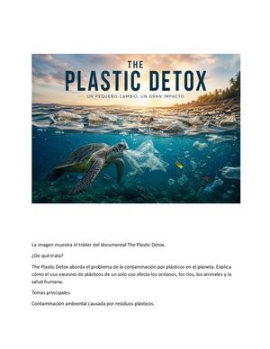 Desechos Plastico