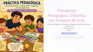 Planeacion Pedagogica Didactica Por Proyecto De Aula Pdf (1)