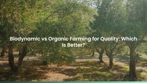 Biodynamic vs Organic Farming for Quality: Which Is Better?