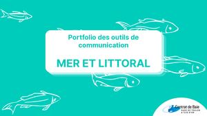 Portfolio Mer Et Littoral