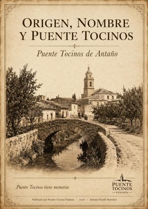 Origen Nombre Puente Tocinos