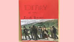 Diary of an Irish pioneer