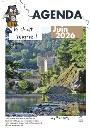 Chat Teigne juin2026