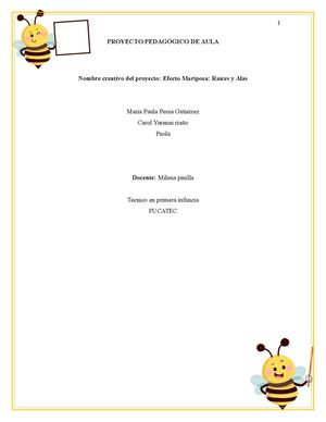 Proyecto Pedagogico De Aula
