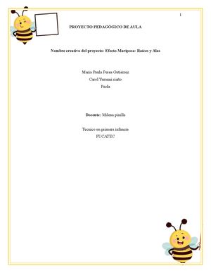 Proyecto Pedagogico De Aula