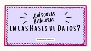 Minilecciones Bitácoras Araceli Reyes De La Cruz
