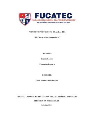 Proyecto Pedagogico De Aula Dayana Y Fernanda