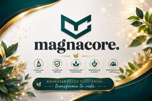 Portafolio Magnacore (1) 2