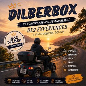 Dilber Box