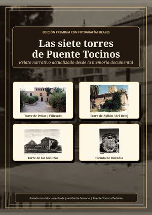 Relato Las Siete Torres Puente Tocinos