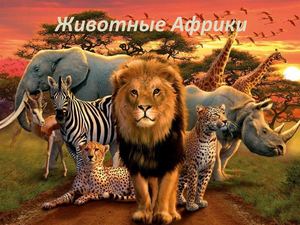 Zhivotnye Afriki Smyslova N 4 B