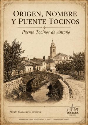 HISTORIA DE PUENTE TOCINOS