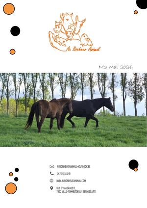 Au Bonheur Animal - Quadrimestriel - Mai 2026