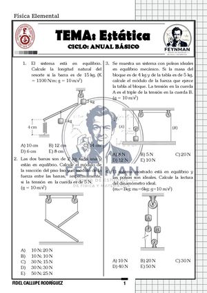 Estatica Anual Feyman